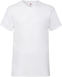 Mens Valueweight V-neck T-shirt (61-066-0)